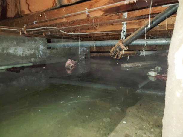 Best 24-hour water damage restoration  in Windom, MN
