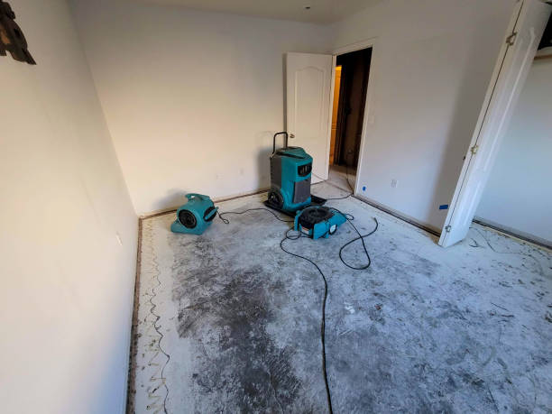 Fire Damage Restoration in MN