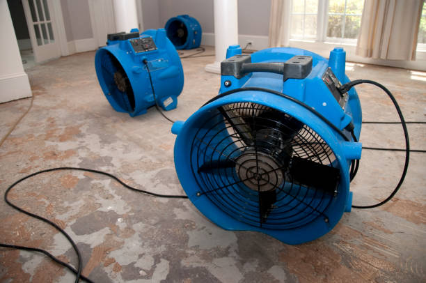Trusted MN Water damage restoration Experts